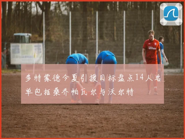 多特蒙德今夏引援目标盘点14人名单包括桑乔帕瓦尔与沃尔特